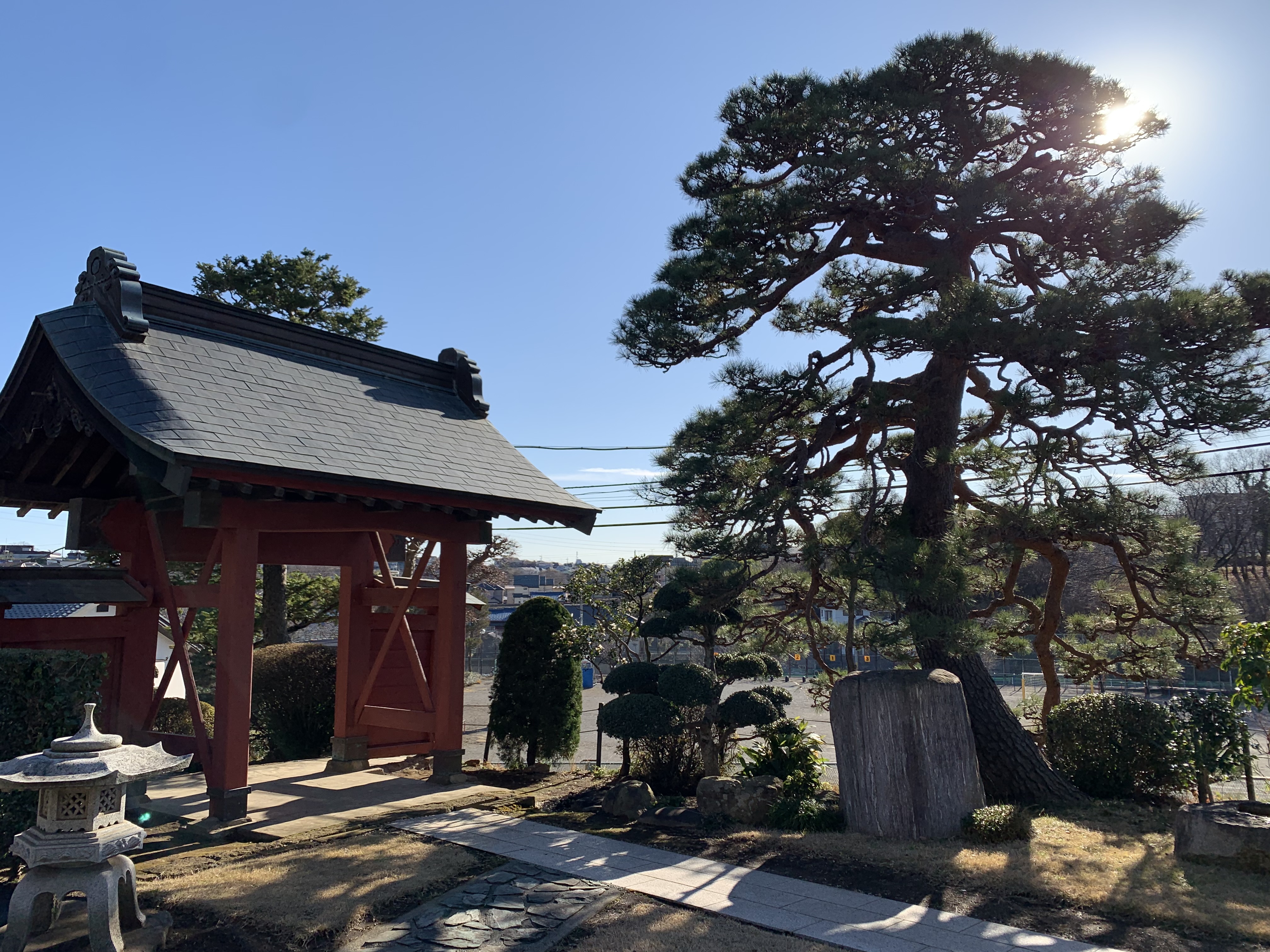西笑院 赤門と松